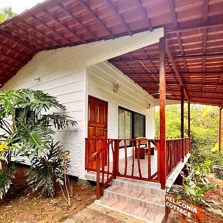 Blue Banyan Inn Quepos Eksteriør billede