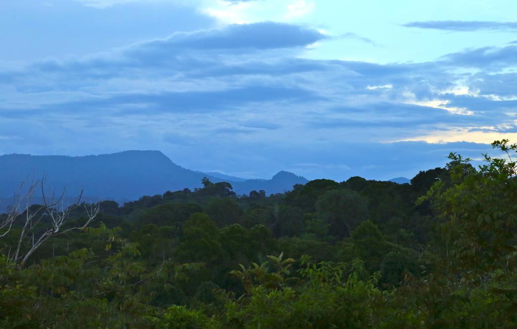 Blue Banyan Inn Quepos Eksteriør billede