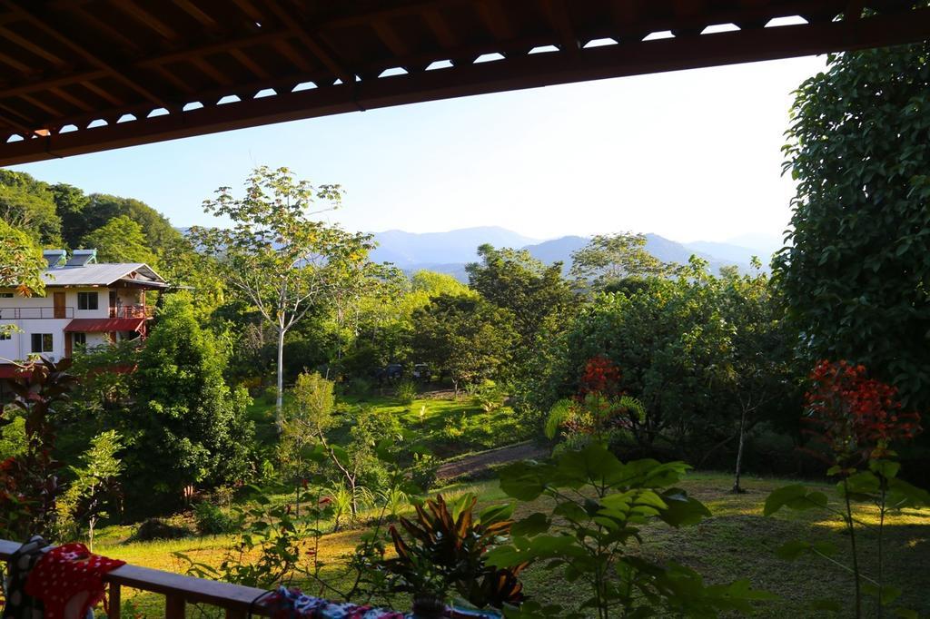 Blue Banyan Inn Quepos Eksteriør billede