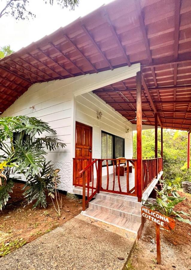Blue Banyan Inn Quepos Eksteriør billede
