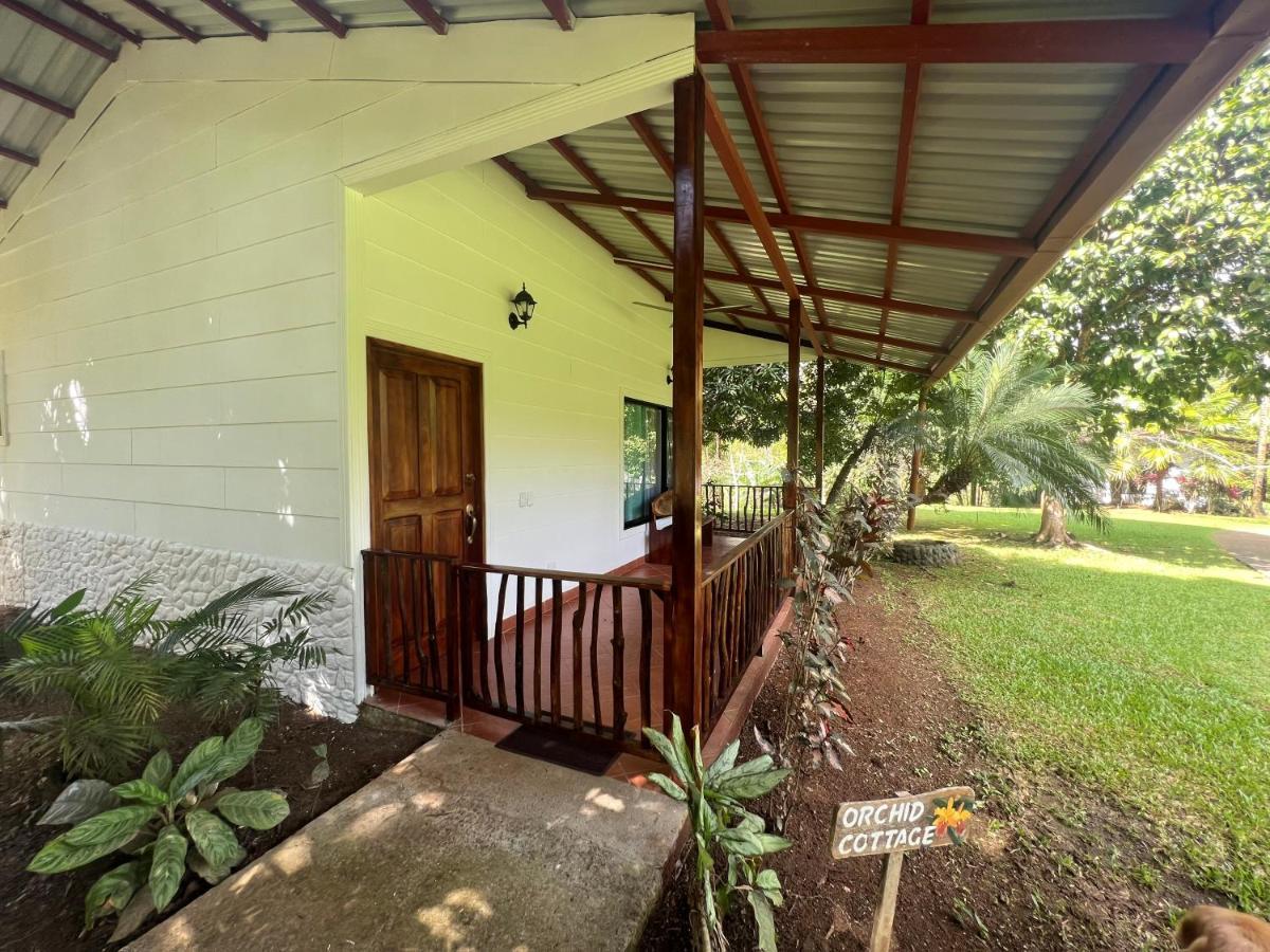 Blue Banyan Inn Quepos Eksteriør billede